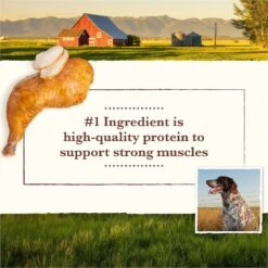Whole Earth Farms Grain-Free Chicken & Turkey Recipe Dry Dog Food 14 Whole Earth Farms Grain-Free Chicken & Turkey Recipe Dry Dog Food -Blue Buffalo || ROYAL CANIN || Wellness Sales 73970 PT3. AC SS1800 V1647918392