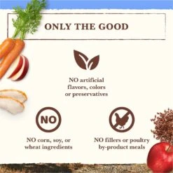 Whole Earth Farms Grain-Free Chicken & Turkey Recipe Dry Dog Food 18 Whole Earth Farms Grain-Free Chicken & Turkey Recipe Dry Dog Food -Blue Buffalo || ROYAL CANIN || Wellness Sales 73970 PT7. AC SS1800 V1647918083