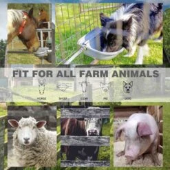 Win World Gazebo Automatic Dog & Cat Feeder, Grey, Large -Blue Buffalo || ROYAL CANIN || Wellness Sales 740734 PT5. AC SS1800 V1671222524