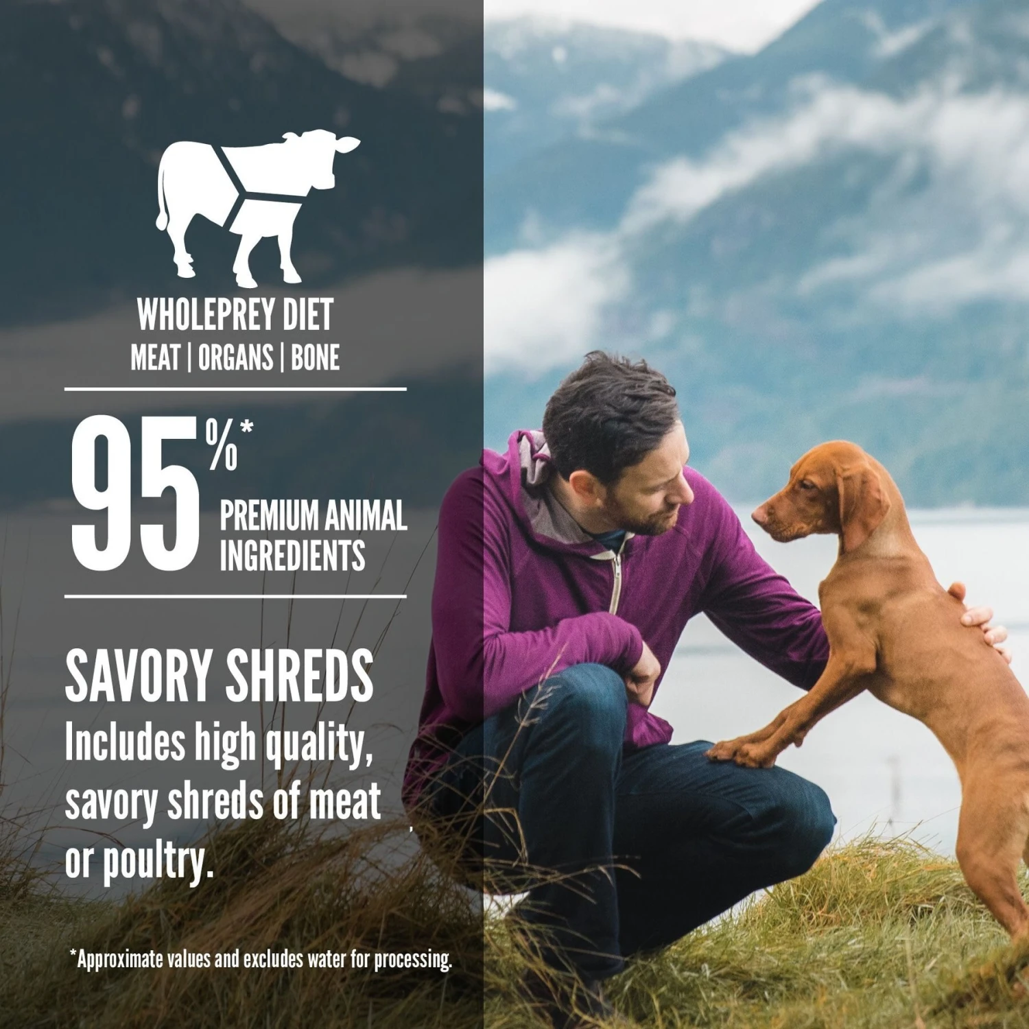 ORIJEN Real Meat Shreds Regional Stew Grain-Free Wet Dog Food, 12.8-oz Can, Case Of 12 7 ORIJEN Real Meat Shreds Regional Stew Grain-Free Wet Dog Food, 12.8-oz Can, Case Of 12 - Image 5