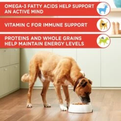 Rachael Ray Nutrish Chunks In Gravy Real Beef & Veggies Dog Wet Food, 13-oz Can, 12 Count -Blue Buffalo || ROYAL CANIN || Wellness Sales 742086 PT3. AC SS1800 V1671211400