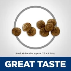 Hill's Science Diet Adult Small & Mini Lamb Meal & Rice Recipe Dry Dog Food -Blue Buffalo || ROYAL CANIN || Wellness Sales 74229 PT2. AC SS1800 V1692734858