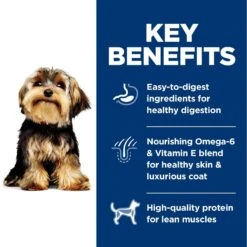 Hill's Science Diet Adult Small & Mini Lamb Meal & Rice Recipe Dry Dog Food -Blue Buffalo || ROYAL CANIN || Wellness Sales 74229 PT4. AC SS1800 V1692734466
