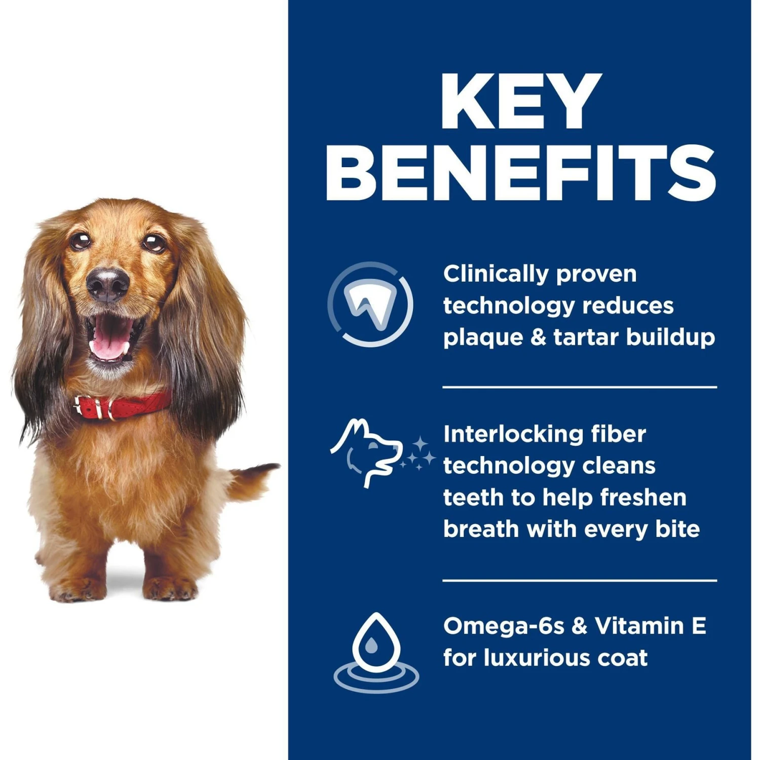 Hill's Science Diet Adult Oral Care Dry Dog Food 7 Hill's Science Diet Adult Oral Care Dry Dog Food - Image 5