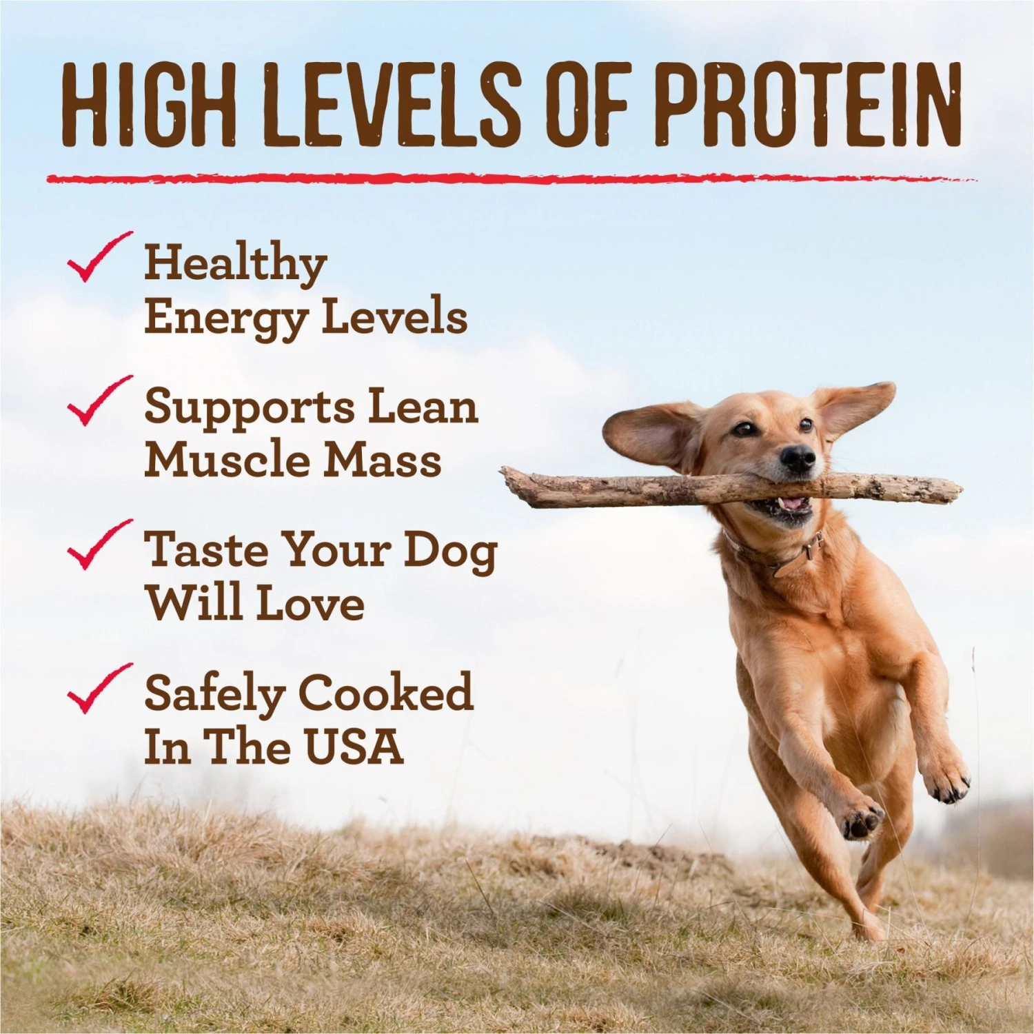 Merrick Kitchen Comforts Beef & Brown Rice Wet Dog Food, 12.7-oz Can, Case Of 12 10 Merrick Kitchen Comforts Beef & Brown Rice Wet Dog Food, 12.7-oz Can, Case Of 12 - Image 8