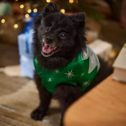 Frisco Ornament Dog & Cat Costume -Blue Buffalo || ROYAL CANIN || Wellness Sales 745510 PT7. AC SS1800 V1694795535