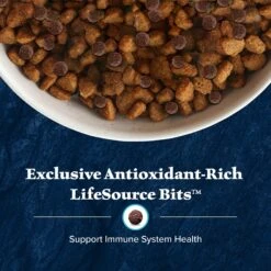Blue Buffalo Wilderness Large Breed Adult High Protein Natural Chicken & Wholesome Grains Dry Dog Food -Blue Buffalo || ROYAL CANIN || Wellness Sales 748294 PT6. AC SS1800 V1694550810