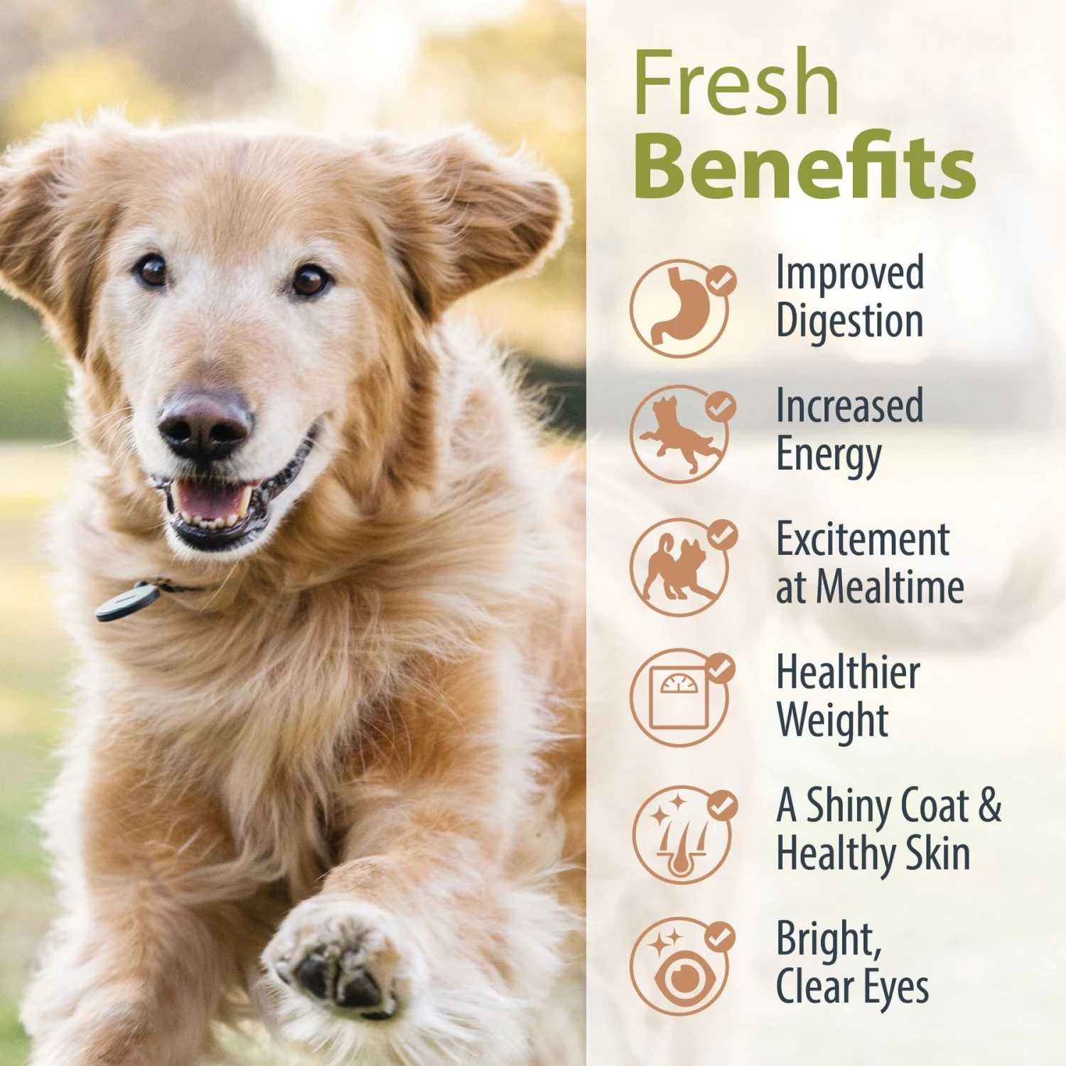 JustFoodForDogs Pantry Fresh Lamb & Brown Rice Fresh Dog Food 7 JustFoodForDogs Pantry Fresh Lamb & Brown Rice Fresh Dog Food - Image 5