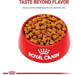 Royal Canin Breed Health Nutrition German Shepherd Adult Dry Dog Food 12 Royal Canin Breed Health Nutrition German Shepherd Adult Dry Dog Food -Blue Buffalo || ROYAL CANIN || Wellness Sales 75164 PT1. AC SS1800 V1697142942