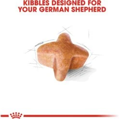 Royal Canin Breed Health Nutrition German Shepherd Adult Dry Dog Food 14 Royal Canin Breed Health Nutrition German Shepherd Adult Dry Dog Food -Blue Buffalo || ROYAL CANIN || Wellness Sales 75164 PT3. AC SS1800 V1697213154