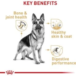 Royal Canin Breed Health Nutrition German Shepherd Adult Dry Dog Food 15 Royal Canin Breed Health Nutrition German Shepherd Adult Dry Dog Food -Blue Buffalo || ROYAL CANIN || Wellness Sales 75164 PT4. AC SS1800 V1697212367