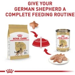 Royal Canin Breed Health Nutrition German Shepherd Adult Dry Dog Food 16 Royal Canin Breed Health Nutrition German Shepherd Adult Dry Dog Food -Blue Buffalo || ROYAL CANIN || Wellness Sales 75164 PT5. AC SS1800 V1697213803