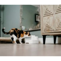 Cat Mate Plastic Dog & Cat Fountain, 67.6-oz -Blue Buffalo || ROYAL CANIN || Wellness Sales 75264 PT5. AC SS1800 V1663712577