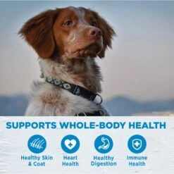 Wellness Simple Limited Ingredient Diet Grain-Free Small Breed Salmon & Potato Formula Dry Dog Food 14 Wellness Simple Limited Ingredient Diet Grain-Free Small Breed Salmon & Potato Formula Dry Dog Food -Blue Buffalo || ROYAL CANIN || Wellness Sales 75324 PT3. AC SS1800 V1611093806