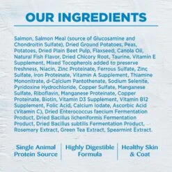 Wellness Simple Limited Ingredient Diet Grain-Free Healthy Weight Salmon & Peas Formula Dry Dog Food 18 Wellness Simple Limited Ingredient Diet Grain-Free Healthy Weight Salmon & Peas Formula Dry Dog Food -Blue Buffalo || ROYAL CANIN || Wellness Sales 75329 PT7. AC SS1800 V1611092730