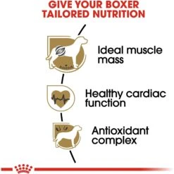 Royal Canin Breed Health Nutrition Boxer Adult Dry Dog Food -Blue Buffalo || ROYAL CANIN || Wellness Sales 75421 PT4. AC SS1800 V1697216147