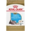 Royal Canin Breed Health Nutrition Miniature Schnauzer Puppy Dry Dog Food -Blue Buffalo || ROYAL CANIN || Wellness Sales 75439 MAIN. AC SS1800 V1697137584