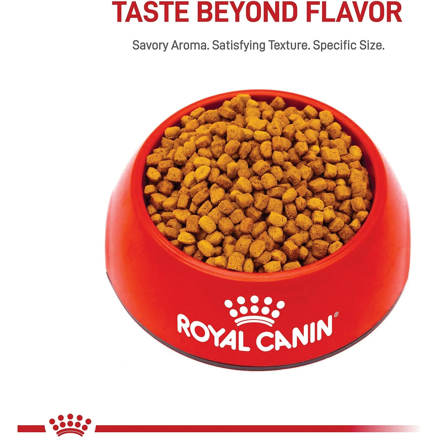 Royal Canin Breed Health Nutrition Dachshund Puppy Dry Dog Food 4 Royal Canin Breed Health Nutrition Dachshund Puppy Dry Dog Food - Image 2