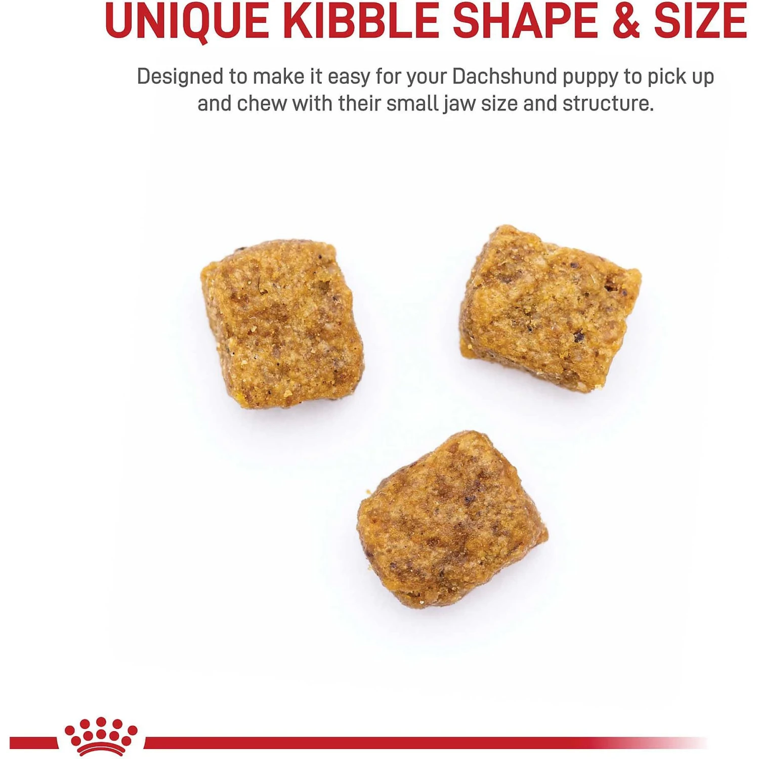 Royal Canin Breed Health Nutrition Dachshund Puppy Dry Dog Food 6 Royal Canin Breed Health Nutrition Dachshund Puppy Dry Dog Food - Image 4