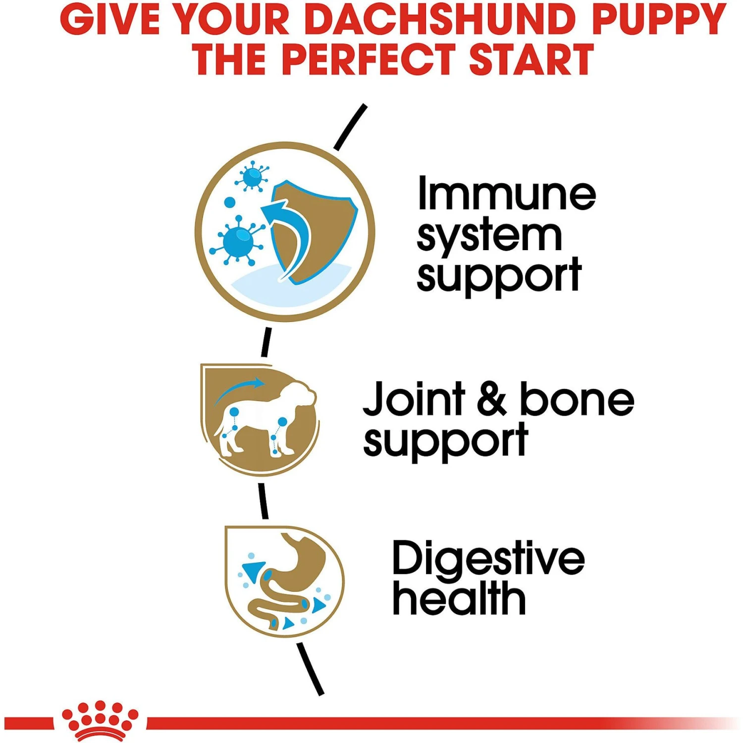 Royal Canin Breed Health Nutrition Dachshund Puppy Dry Dog Food 7 Royal Canin Breed Health Nutrition Dachshund Puppy Dry Dog Food - Image 5