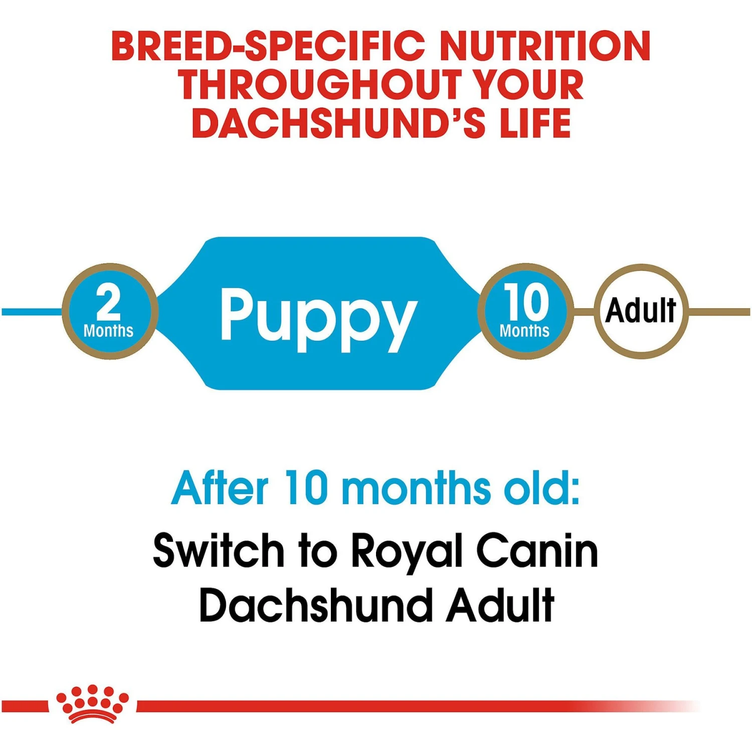 Royal Canin Breed Health Nutrition Dachshund Puppy Dry Dog Food 9 Royal Canin Breed Health Nutrition Dachshund Puppy Dry Dog Food - Image 7