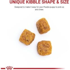 Royal Canin Breed Health Nutrition Poodle Puppy Dry Dog Food 13 Royal Canin Breed Health Nutrition Poodle Puppy Dry Dog Food -Blue Buffalo || ROYAL CANIN || Wellness Sales 75448 PT3. AC SS1800 V1695219136