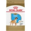 Royal Canin Breed Health Nutrition Boxer Puppy Dry Dog Food -Blue Buffalo || ROYAL CANIN || Wellness Sales 75450 MAIN. AC SS1800 V1697139140