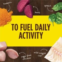 Instinct Boost Mixers Healthy Energy Grain-Free Freeze-Dried Raw Dog Food Topper, 5.5-oz Bag -Blue Buffalo || ROYAL CANIN || Wellness Sales 755734 PT4. AC SS1800 V1690554626