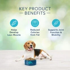 Blue Buffalo Freedom Adult Healthy Weight Chicken Recipe Grain-Free Dry Dog Food -Blue Buffalo || ROYAL CANIN || Wellness Sales 75713 PT5. AC SS1800 V1649112091