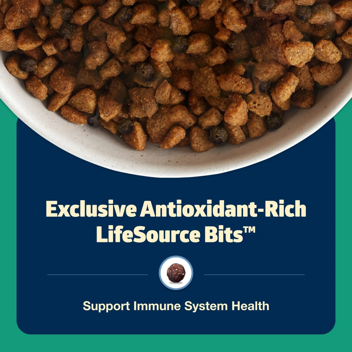 Blue Buffalo Freedom Adult Lamb Recipe Grain-Free Dry Dog Food 8 Blue Buffalo Freedom Adult Lamb Recipe Grain-Free Dry Dog Food - Image 6