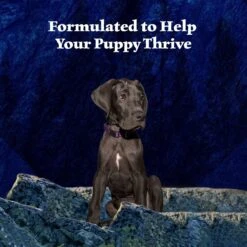 Blue Buffalo Wilderness Turkey & Chicken Grill Grain-Free Puppy Canned Dog Food -Blue Buffalo || ROYAL CANIN || Wellness Sales 75750 PT3. AC SS1800 V1646788894