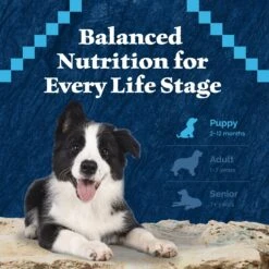 Blue Buffalo Wilderness Turkey & Chicken Grill Grain-Free Puppy Canned Dog Food -Blue Buffalo || ROYAL CANIN || Wellness Sales 75750 PT7. AC SS1800 V1646790084