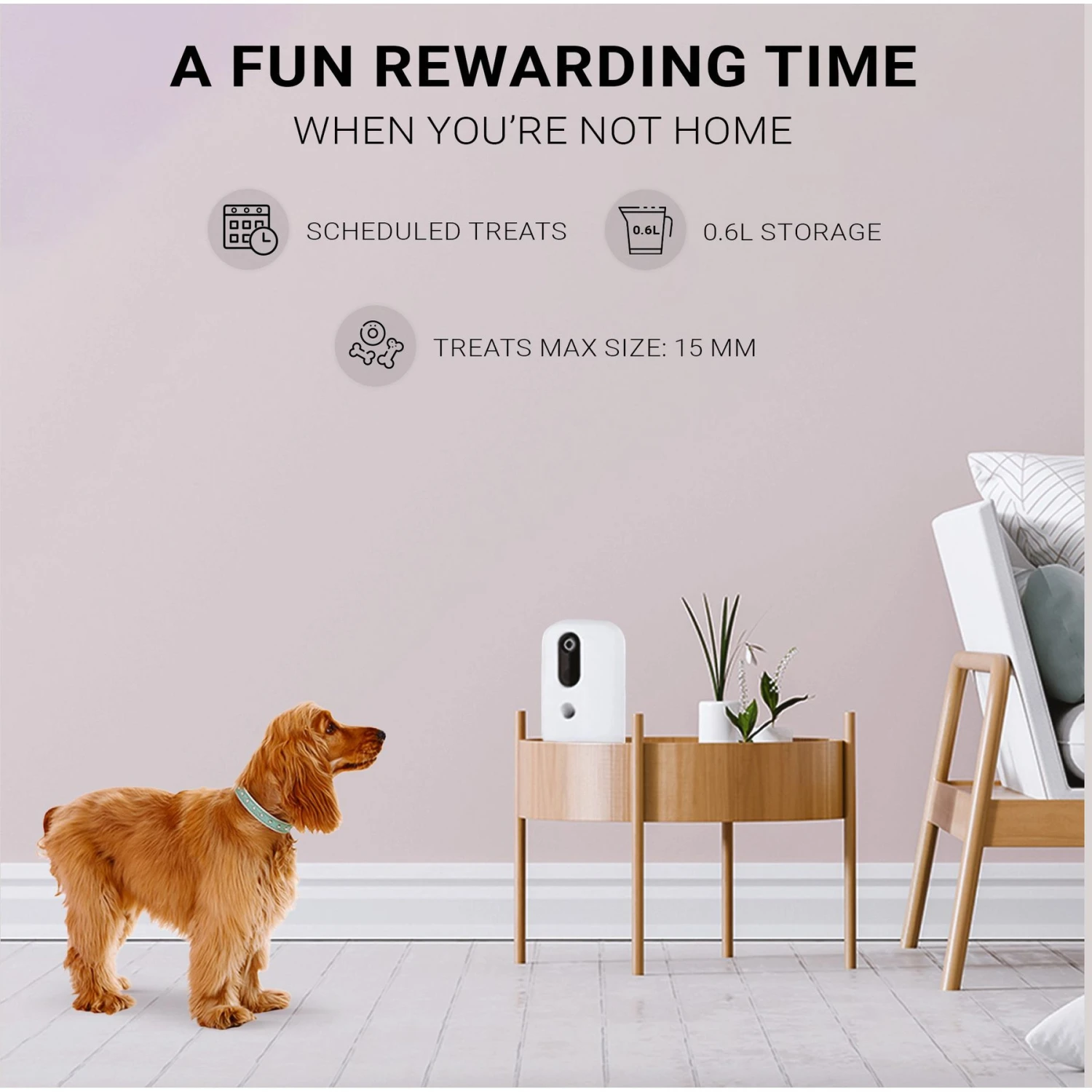 INSTACHEW Purechew Snack Cat & Dog Treat Dispenser, HD Camera, White 4 INSTACHEW Purechew Snack Cat & Dog Treat Dispenser, HD Camera, White - Image 2