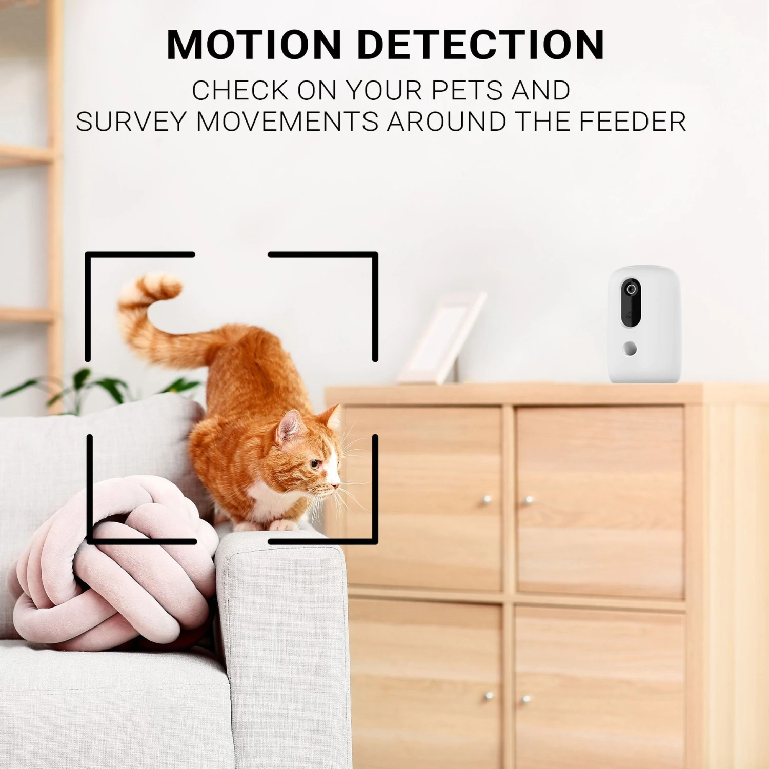 INSTACHEW Purechew Snack Cat & Dog Treat Dispenser, HD Camera, White 7 INSTACHEW Purechew Snack Cat & Dog Treat Dispenser, HD Camera, White - Image 5