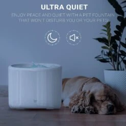 INSTACHEW Purrflow Smart Dog & Cat Water Fountain, White, 2-L 12 INSTACHEW Purrflow Smart Dog & Cat Water Fountain, White, 2-L -Blue Buffalo || ROYAL CANIN || Wellness Sales 757694 PT3. AC SS1800 V1691762367