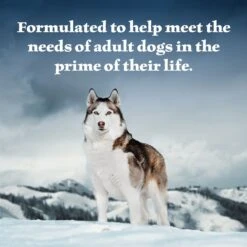 Blue Buffalo Wilderness Wolf Creek Stew Hearty Duck Stew Grain-Free Adult Canned Dog Food -Blue Buffalo || ROYAL CANIN || Wellness Sales 75786 PT3. AC SS1800 V1646779583