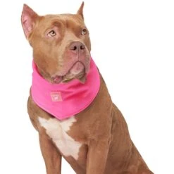 Canada Pooch Chill Seeker Cooling Dog Bandana -Blue Buffalo || ROYAL CANIN || Wellness Sales 758750 PT2. AC SS1800 V1677532099