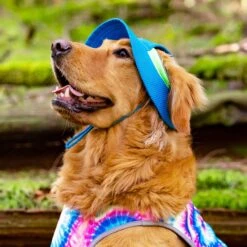 Canada Pooch Chill Seeker Cooling Dog Hat -Blue Buffalo || ROYAL CANIN || Wellness Sales 758798 PT3. AC SS1800 V1677532826