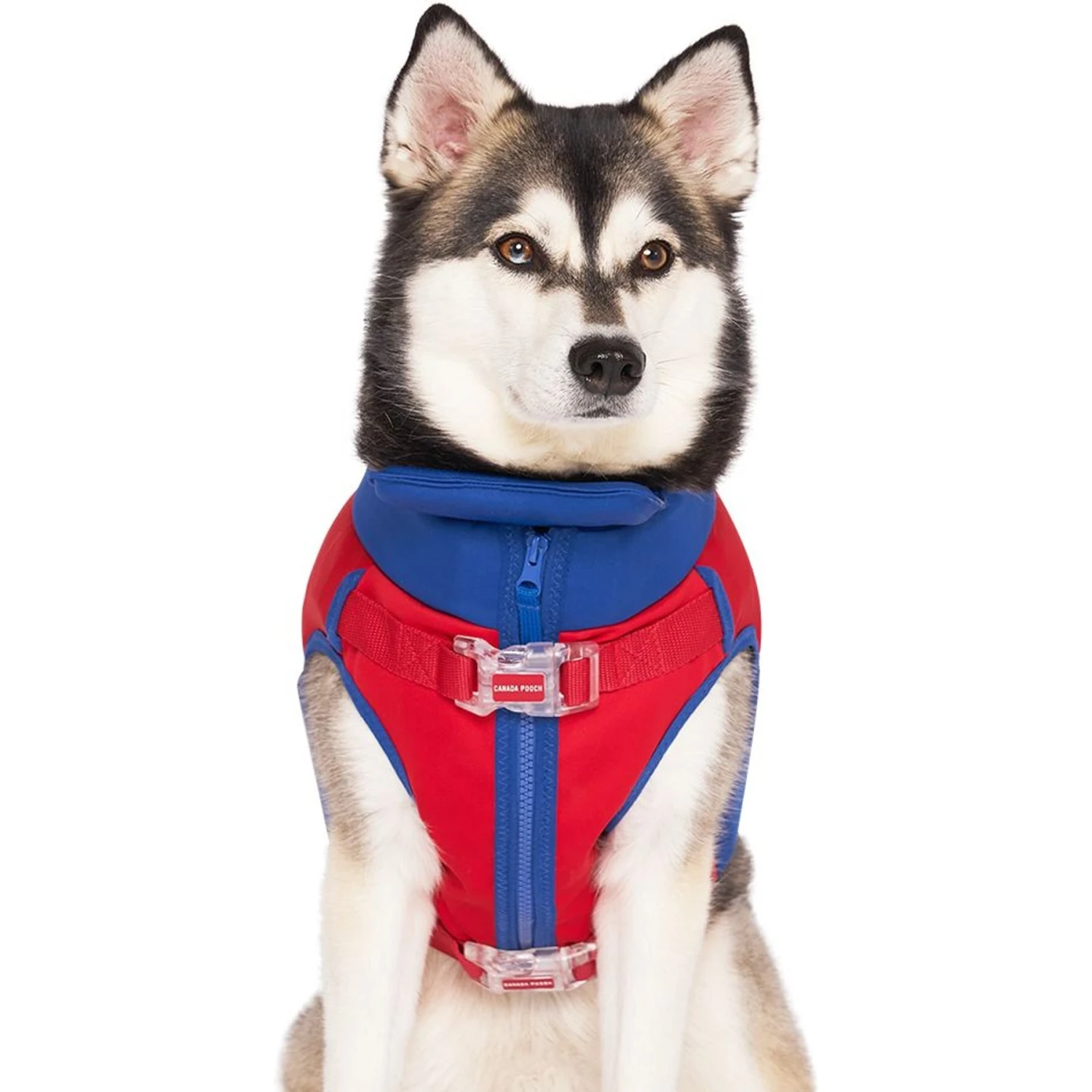 Canada Pooch High Tide Life Dog Jacket 4 Canada Pooch High Tide Life Dog Jacket - Image 2