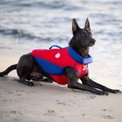 Canada Pooch High Tide Life Dog Jacket 11 Canada Pooch High Tide Life Dog Jacket -Blue Buffalo || ROYAL CANIN || Wellness Sales 758830 PT4. AC SS1800 V1677535862