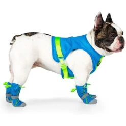 Canada Pooch Hot Pavement Dog Boots -Blue Buffalo || ROYAL CANIN || Wellness Sales 758982 PT2. AC SS1800 V1677535638
