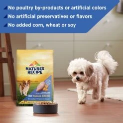 Nature's Recipe Small Breed Grain-Free Chicken, Sweet Potato & Pumpkin Recipe Dry Dog Food 15 Nature's Recipe Small Breed Grain-Free Chicken, Sweet Potato & Pumpkin Recipe Dry Dog Food -Blue Buffalo || ROYAL CANIN || Wellness Sales 76138 PT4. AC SS1800 V1672851833