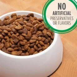 Iams Proactive Health MiniChunks Small Kibble Adult Chicken & Whole Grain Dry Dog Food & Iams Proactive Health Minichunks Small Kibble With Lamb & Rice Adult Dry Dog Food -Blue Buffalo || ROYAL CANIN || Wellness Sales 761526 PT4. AC SS1800 V1674597872