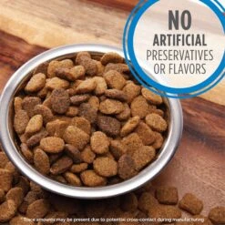 Iams Proactive Health MiniChunks Small Kibble Adult Chicken & Whole Grain Dry Dog Food & Iams Proactive Health Healthy Weight Management Low Fat Formula With Real Chicken Adult Dry Dog Food -Blue Buffalo || ROYAL CANIN || Wellness Sales 761646 PT8. AC SS1800 V1674599283