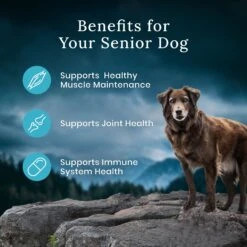 Blue Buffalo Blue Wilderness Premier Blend With Meaty Cuts Chicken Senior Dry Dog Food -Blue Buffalo || ROYAL CANIN || Wellness Sales 761758 PT6. AC SS1800 V1680630716