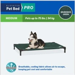 Coolaroo Pro Replacement Cover Elevated Dog & Cat Bed 12 Coolaroo Pro Replacement Cover Elevated Dog & Cat Bed -Blue Buffalo || ROYAL CANIN || Wellness Sales 763022 PT3. AC SS1800 V1674768928