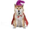 Disney Hocus Pocus Halloween Mary Sanderson Cape & Pet Wig Dog Costume With PVC Bag & Insert Card 2 Disney Hocus Pocus Halloween Mary Sanderson Cape & Pet Wig Dog Costume With PVC Bag & Insert Card -Blue Buffalo || ROYAL CANIN || Wellness Sales 763478 MAIN. AC SS1800 V1686849410