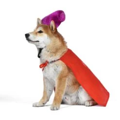 Disney Hocus Pocus Halloween Mary Sanderson Cape & Pet Wig Dog Costume With PVC Bag & Insert Card 12 Disney Hocus Pocus Halloween Mary Sanderson Cape & Pet Wig Dog Costume With PVC Bag & Insert Card -Blue Buffalo || ROYAL CANIN || Wellness Sales 763478 PT4. AC SS1800 V1686850039