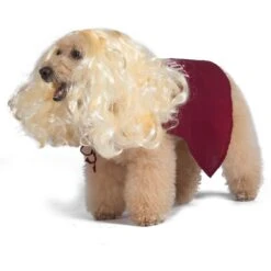 Disney Hocus Pocus Halloween Sarah Sanderson Cape & Pet Wig Dog Costume With PVC Bag & Insert Card -Blue Buffalo || ROYAL CANIN || Wellness Sales 763518 PT3. AC SS1800 V1686850100