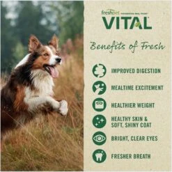 Freshpet Vital Chicken, Beef, Salmon & Egg Recipe Grain-Free Fresh Dog Food 15 Freshpet Vital Chicken, Beef, Salmon & Egg Recipe Grain-Free Fresh Dog Food -Blue Buffalo || ROYAL CANIN || Wellness Sales 764046 PT5. AC SS1800 V1694010350